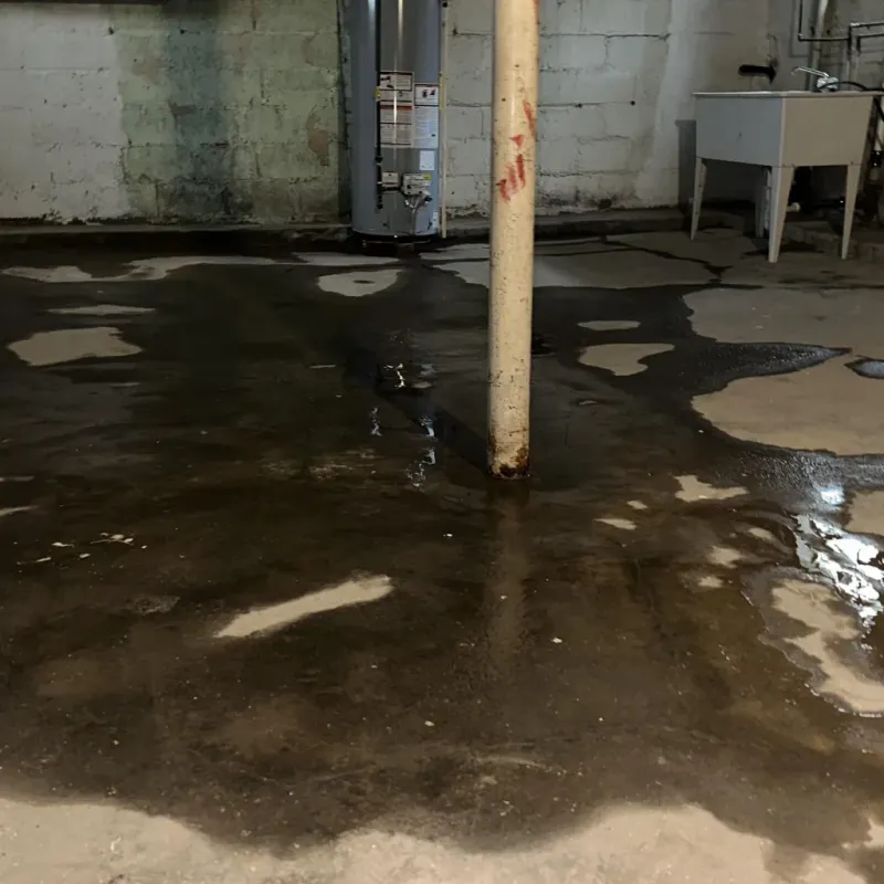 Emergency Water Extraction And Removal in Holstein, IA